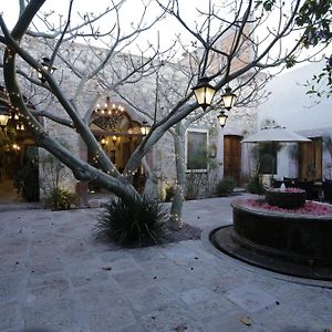 Orchid House San Miguel De Allende