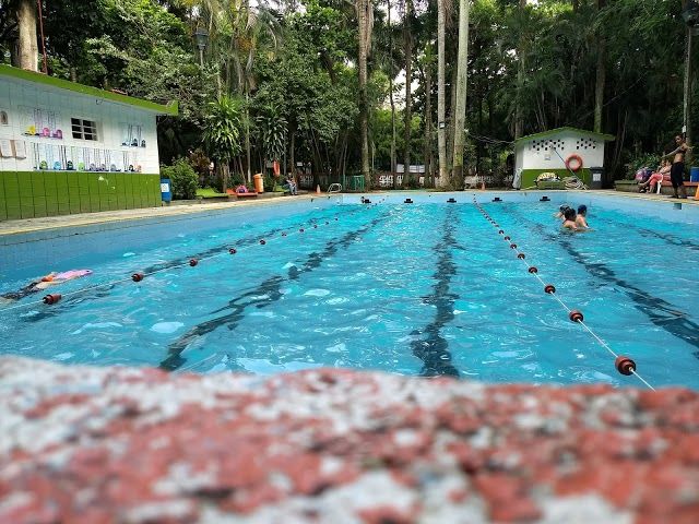 Parque Zoológico Miguel A. de Quevedo